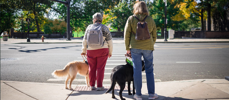 Two woman with guide dogs wait to cross the street.